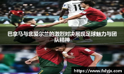 球速体育平台登录入口